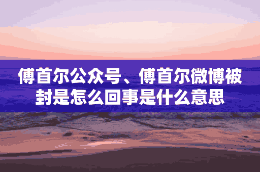 傅首尔公众号、傅首尔微博被封是怎么回事是什么意思